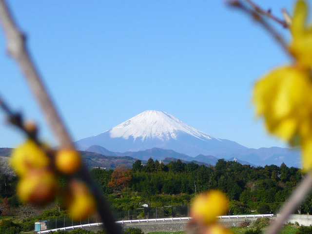 20090101_02_富士山.jpg