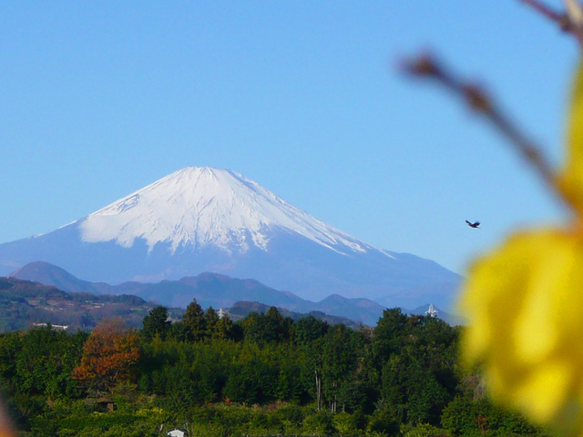 20090101_04_富士山.jpg