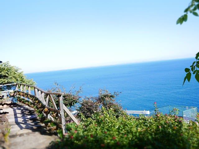 海を見ながらランチ：江の浦テラス_06.jpg